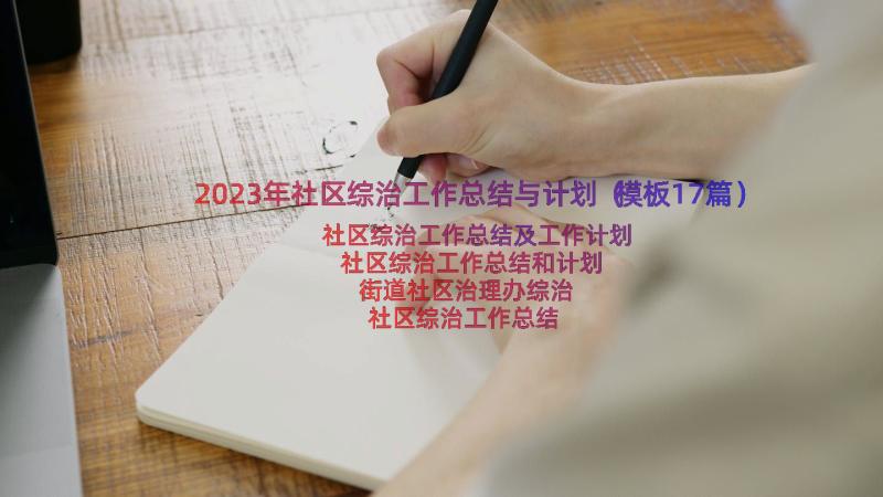 2023年社区综治工作总结与计划（模板17篇）