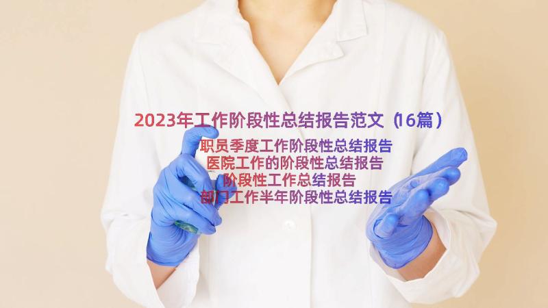 2023年工作阶段性总结报告范文（16篇）