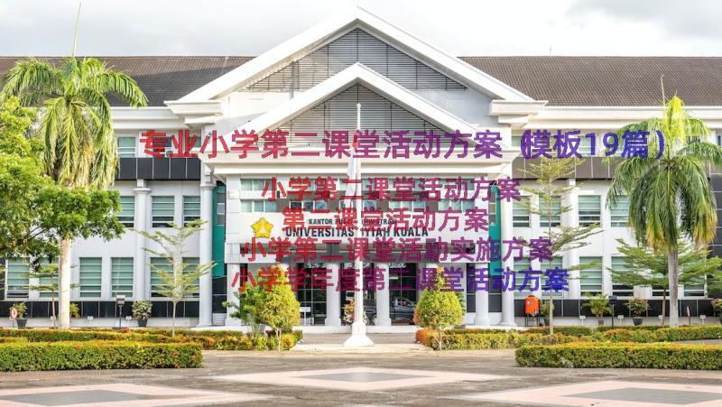 专业小学第二课堂活动方案（模板19篇）