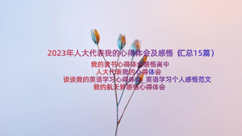 2023年人大代表我的心得体会及感悟（汇总15篇）