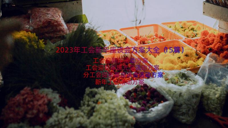 2023年工会新年座谈会方案大全（15篇）