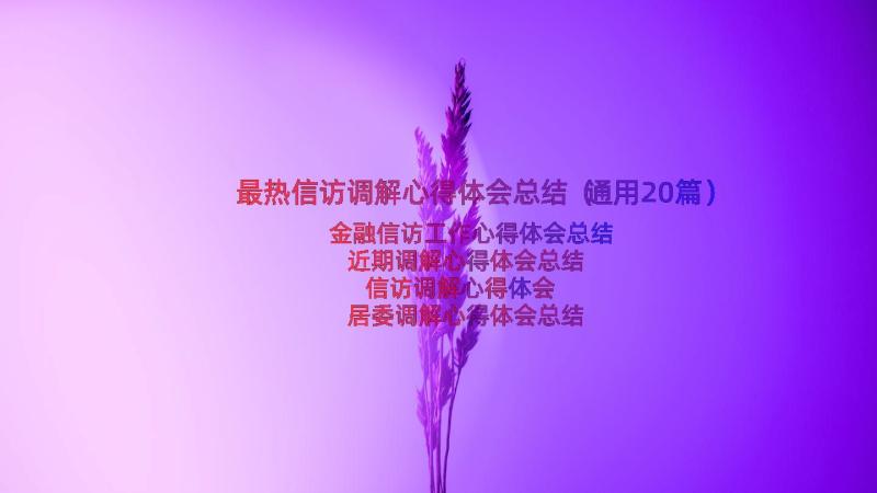 最热信访调解心得体会总结（通用20篇）