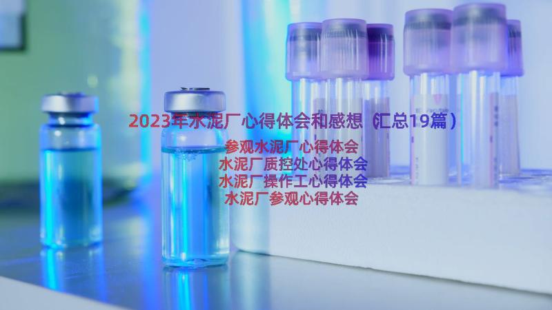 2023年水泥厂心得体会和感想（汇总19篇）