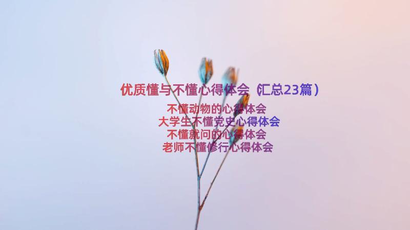 优质懂与不懂心得体会（汇总23篇）