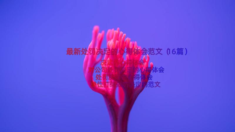 最新处罚决定的心得体会范文（16篇）