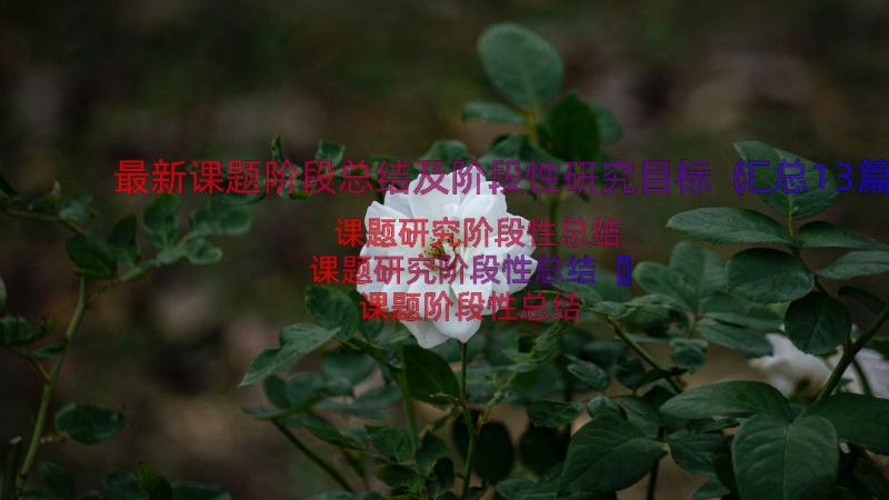 最新课题阶段总结及阶段性研究目标（汇总13篇）