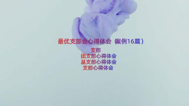 最优支部会心得体会（案例16篇）