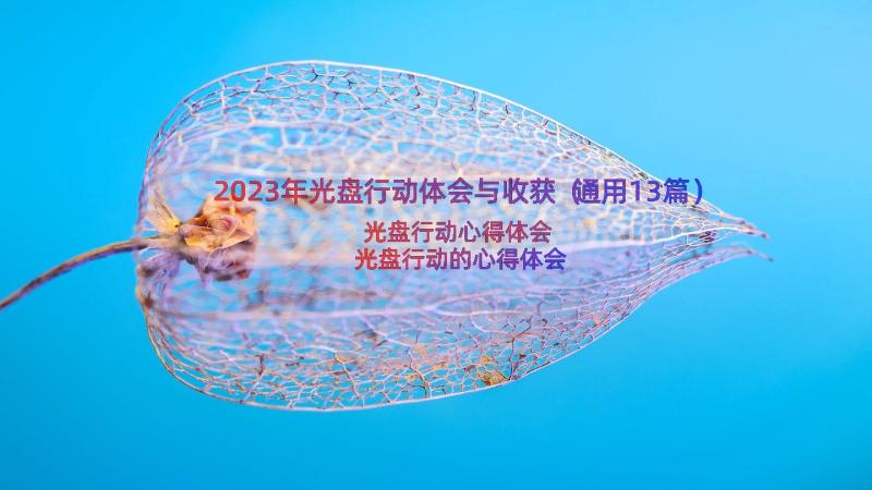 2023年光盘行动体会与收获（通用13篇）