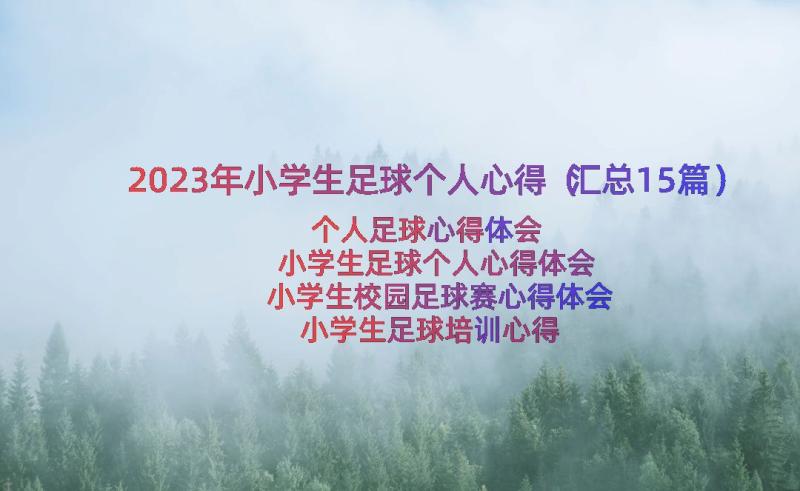 2023年小学生足球个人心得（汇总15篇）