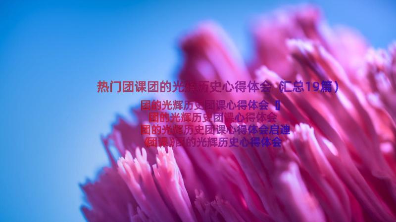 热门团课团的光辉历史心得体会（汇总19篇）