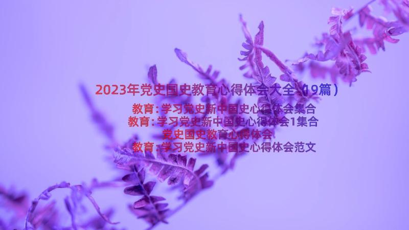 2023年党史国史教育心得体会大全（19篇）