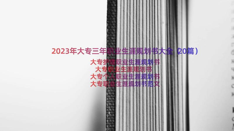 2023年大专三年职业生涯规划书大全（20篇）