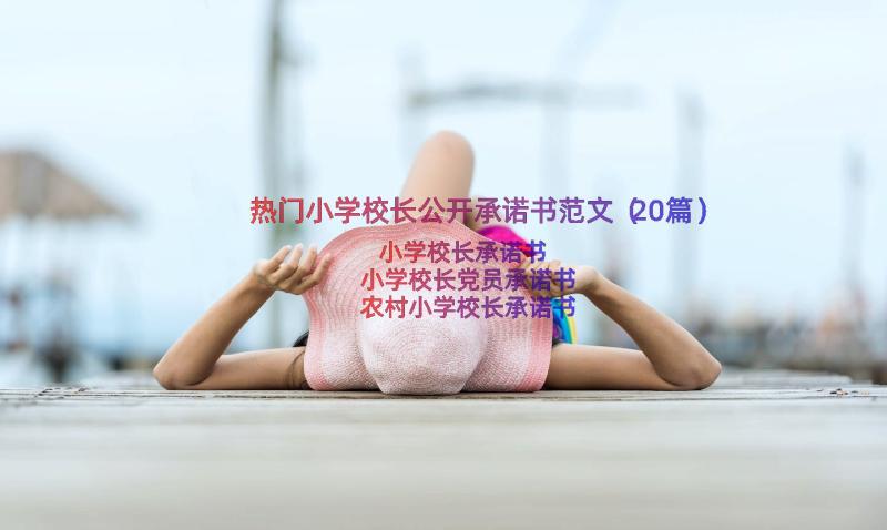 热门小学校长公开承诺书范文（20篇）