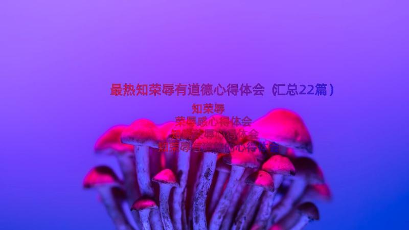 最热知荣辱有道德心得体会（汇总22篇）