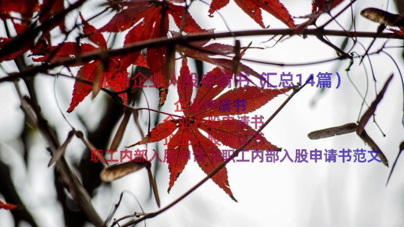 最新企业入股申请书（汇总14篇）