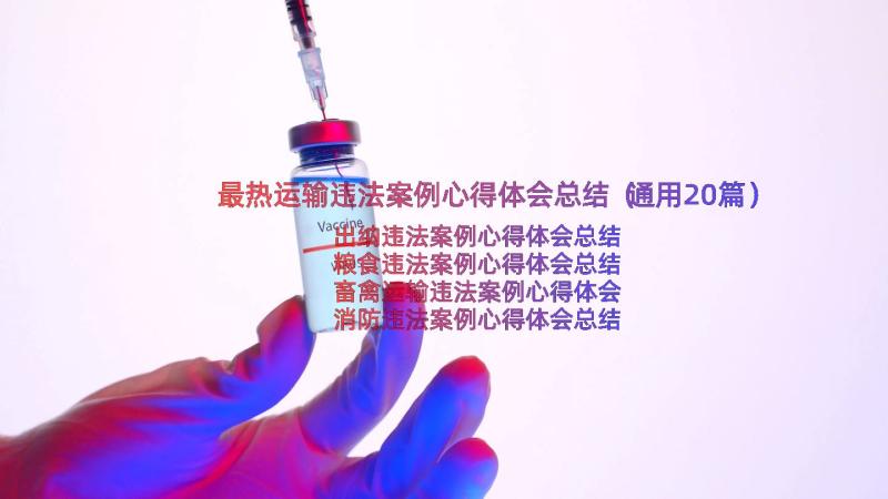 最热运输违法案例心得体会总结（通用20篇）