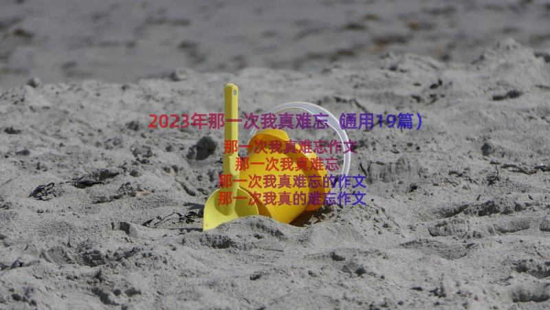 2023年那一次我真难忘（通用19篇）