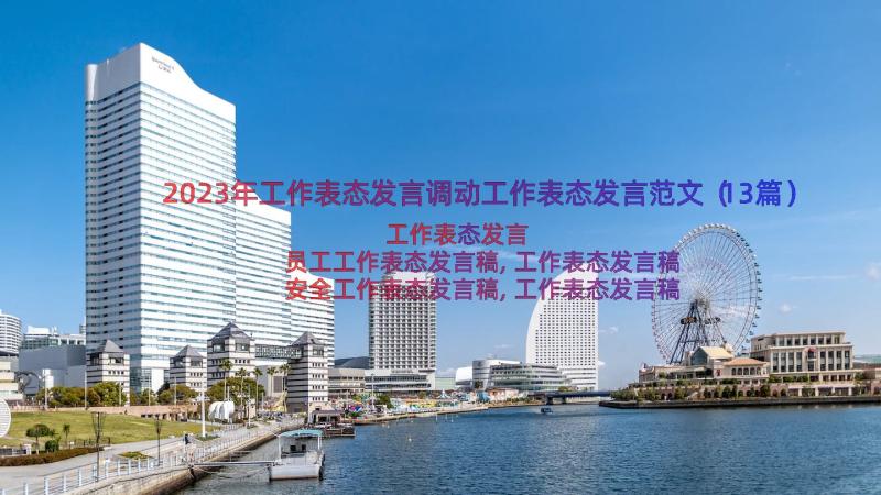 2023年工作表态发言调动工作表态发言范文（13篇）