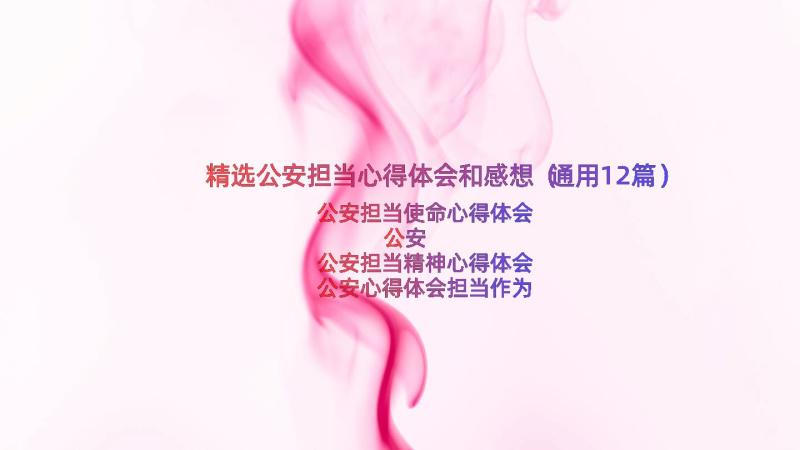 精选公安担当心得体会和感想（通用12篇）