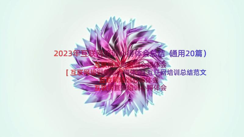 2023年互联网培训心得体会总结（通用20篇）