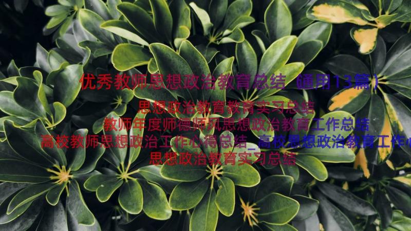 优秀教师思想政治教育总结（通用13篇）