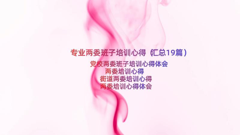 专业两委班子培训心得（汇总19篇）