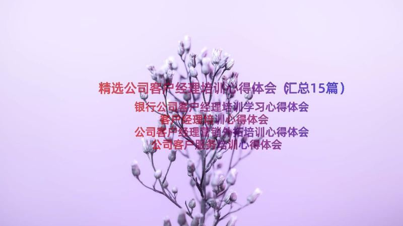 精选公司客户经理培训心得体会（汇总15篇）