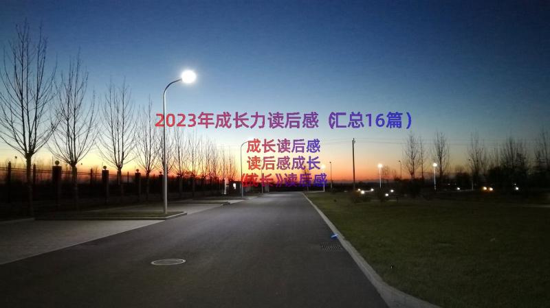 2023年成长力读后感（汇总16篇）