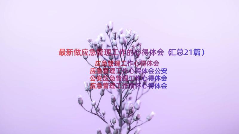 最新做应急管理工作的心得体会（汇总21篇）