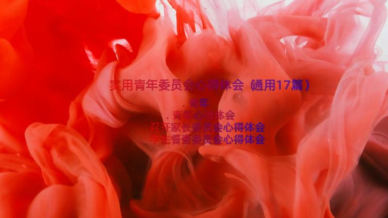 实用青年委员会心得体会（通用17篇）