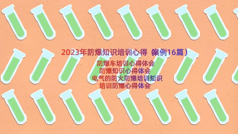 2023年防爆知识培训心得（案例16篇）