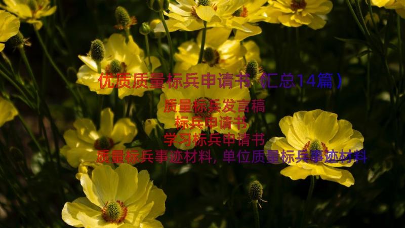 优质质量标兵申请书（汇总14篇）