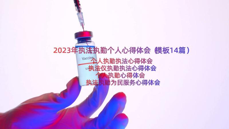 2023年执法执勤个人心得体会（模板14篇）