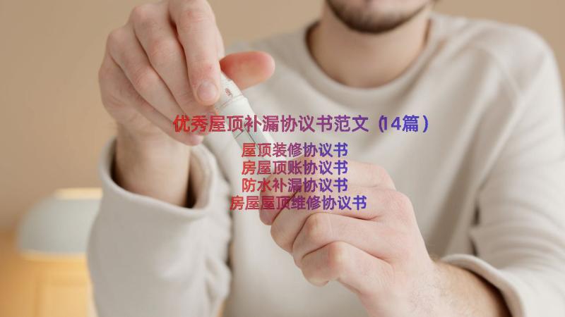 优秀屋顶补漏协议书范文（14篇）