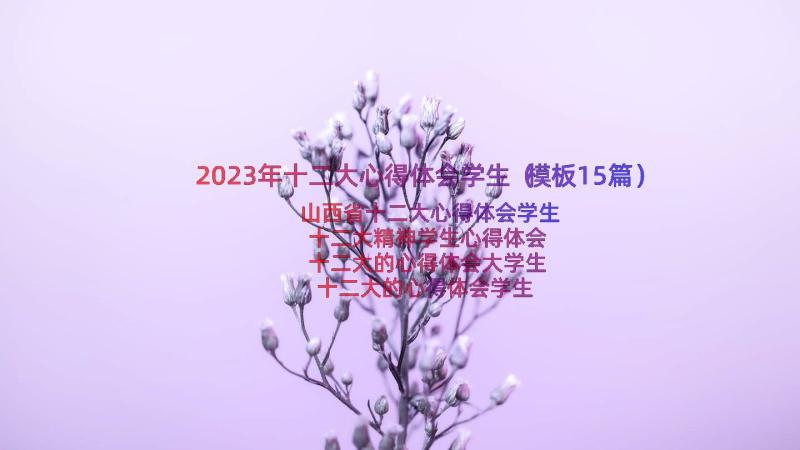 2023年十二大心得体会学生（模板15篇）