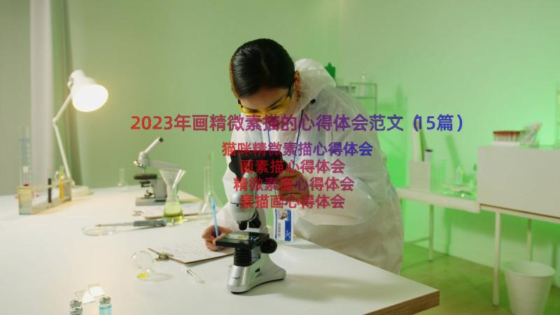 2023年画精微素描的心得体会范文（15篇）