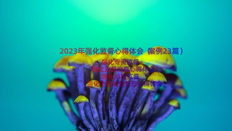 2023年强化监督心得体会（案例23篇）