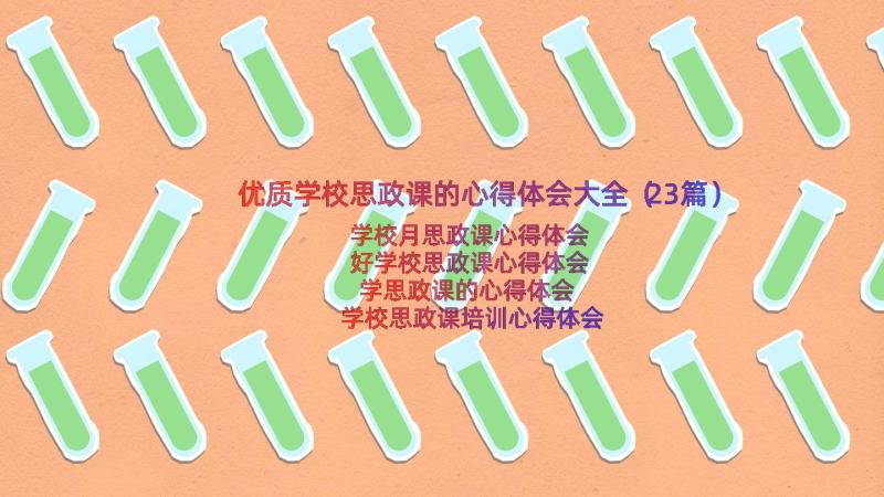 优质学校思政课的心得体会大全（23篇）