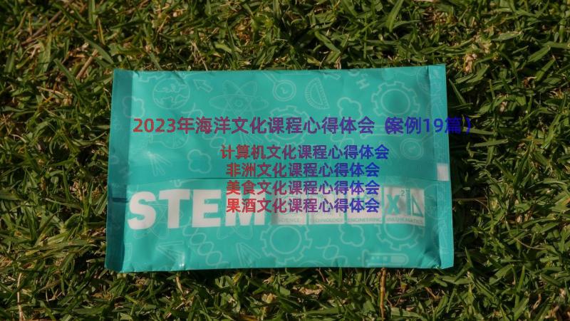 2023年海洋文化课程心得体会（案例19篇）