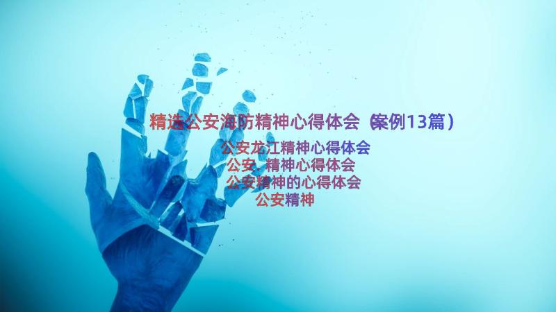 精选公安海防精神心得体会（案例13篇）