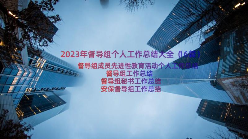 2023年督导组个人工作总结大全（16篇）