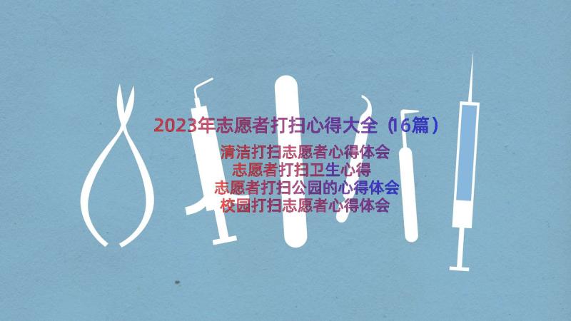 2023年志愿者打扫心得大全（16篇）