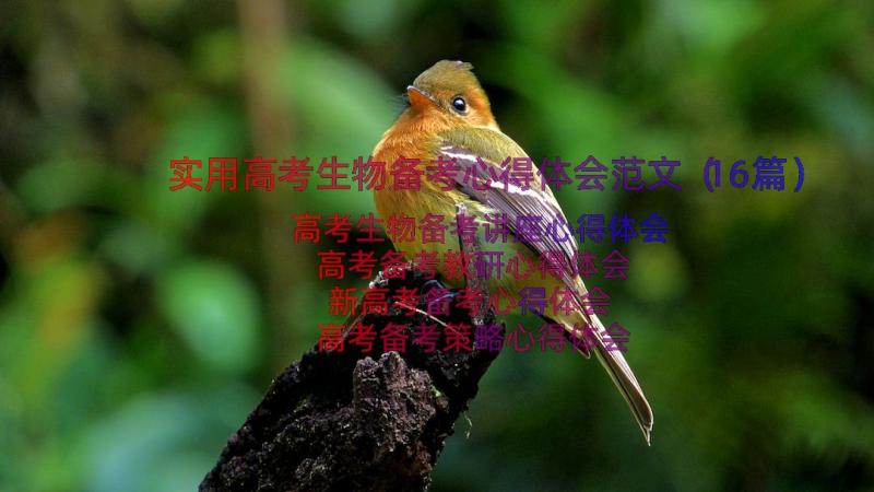 实用高考生物备考心得体会范文（16篇）