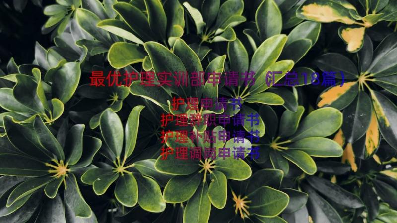 最优护理实训部申请书（汇总18篇）