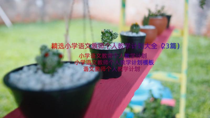 精选小学语文教师个人教学计划大全（23篇）