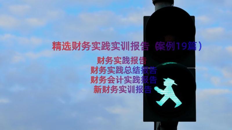 精选财务实践实训报告（案例19篇）