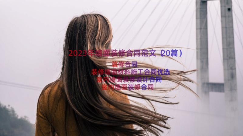 2023年墙面装修合同范文（20篇）