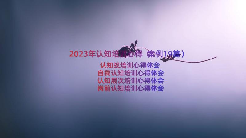 2023年认知培训心得（案例19篇）