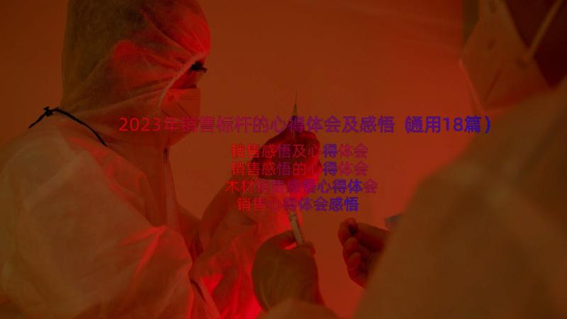 2023年销售标杆的心得体会及感悟（通用18篇）