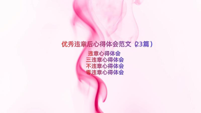 优秀违章后心得体会范文（23篇）